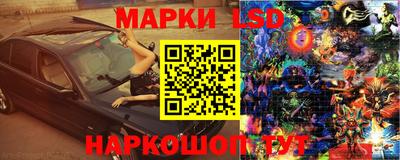 спайс Кандалакша