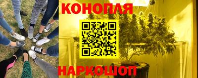прущий лед Канаш