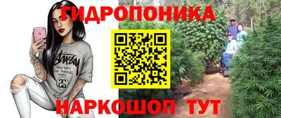 спайс Кандалакша
