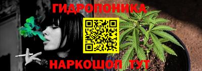 трава Камышлов