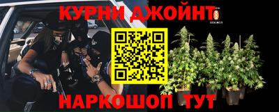 спайс Кандалакша