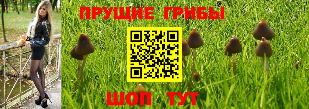 продажа наркотиков  Вход с VPN  Кропоткин  Галлюциногенные грибы MAGIC MUSHROOMS 