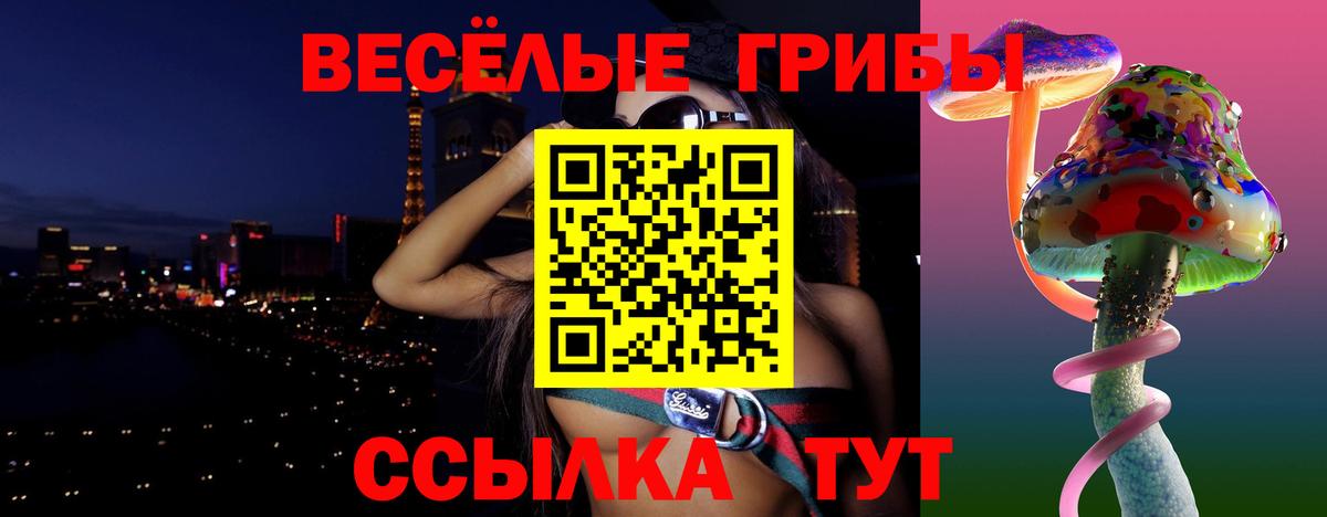 Псилоцибиновые грибы Psilocybe Кропоткин
